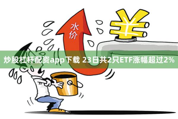 炒股杠杆配资app下载 23日共2只ETF涨幅超过2%