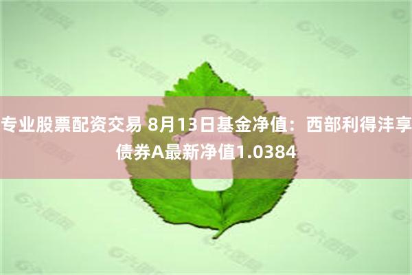 专业股票配资交易 8月13日基金净值：西部利得沣享债券A最新净值1.0384