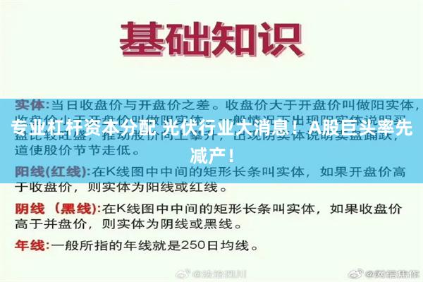 专业杠杆资本分配 光伏行业大消息！A股巨头率先减产！