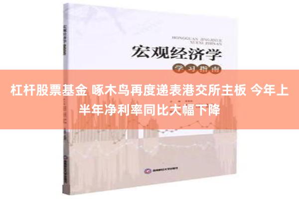 杠杆股票基金 啄木鸟再度递表港交所主板 今年上半年净利率同比大幅下降