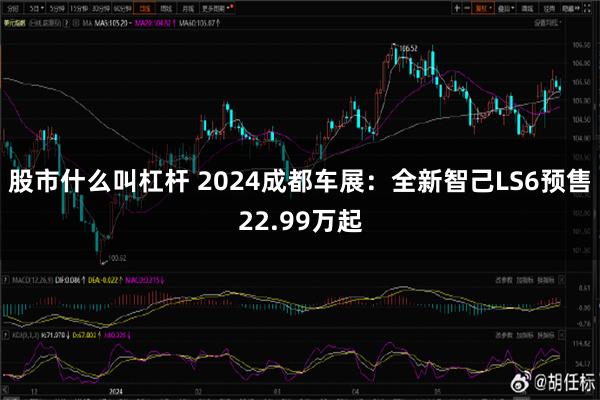 股市什么叫杠杆 2024成都车展：全新智己LS6预售22.99万起