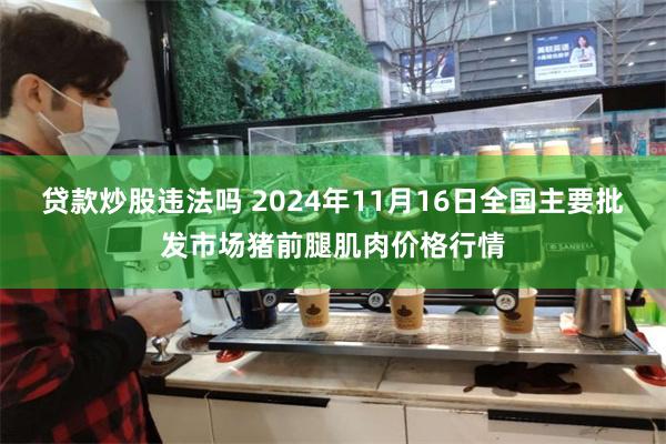 贷款炒股违法吗 2024年11月16日全国主要批发市场猪前腿肌肉价格行情