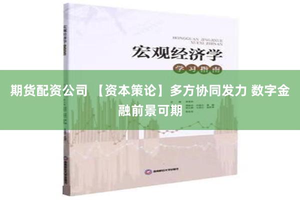 期货配资公司 【资本策论】多方协同发力 数字金融前景可期