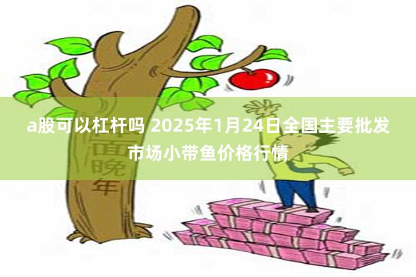 a股可以杠杆吗 2025年1月24日全国主要批发市场小带鱼价格行情